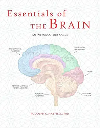 Essentials of the Brain by Rudolph Hatfield